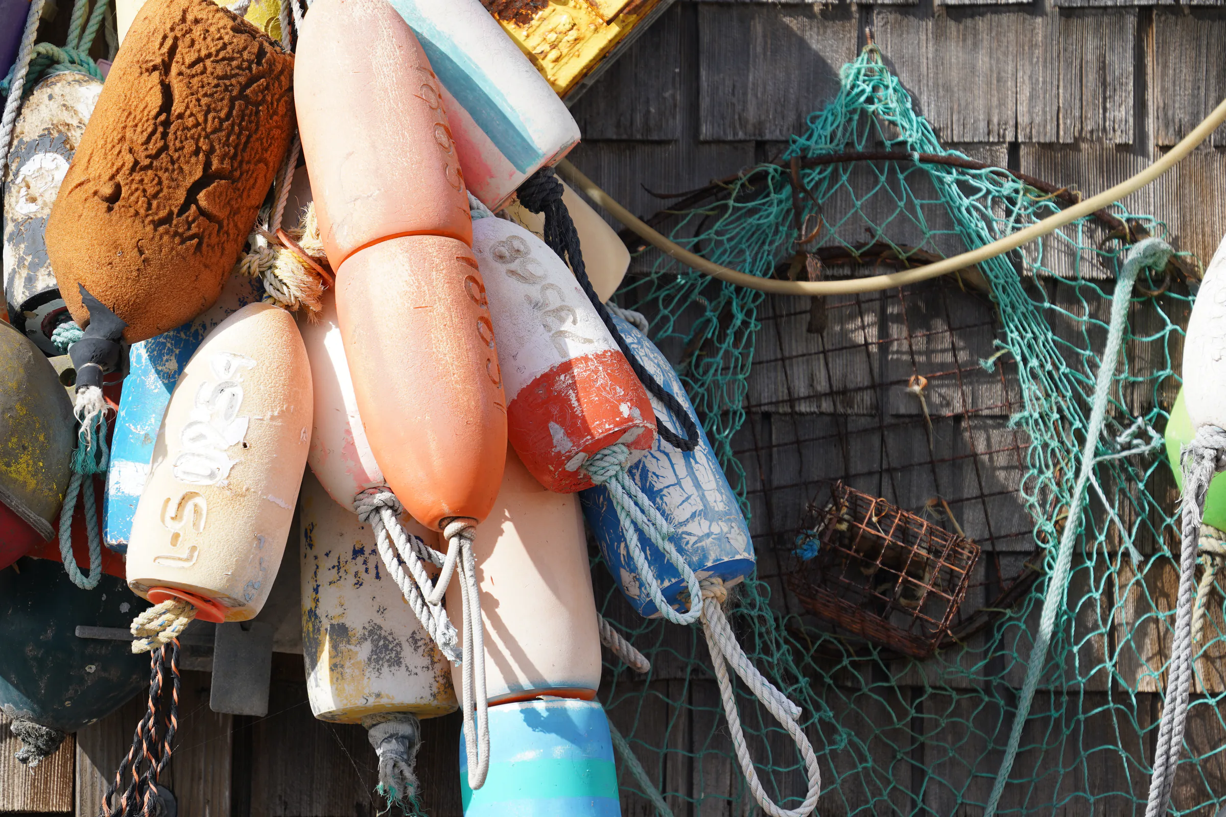 A close view of brightly painted lobster buoys and green netting