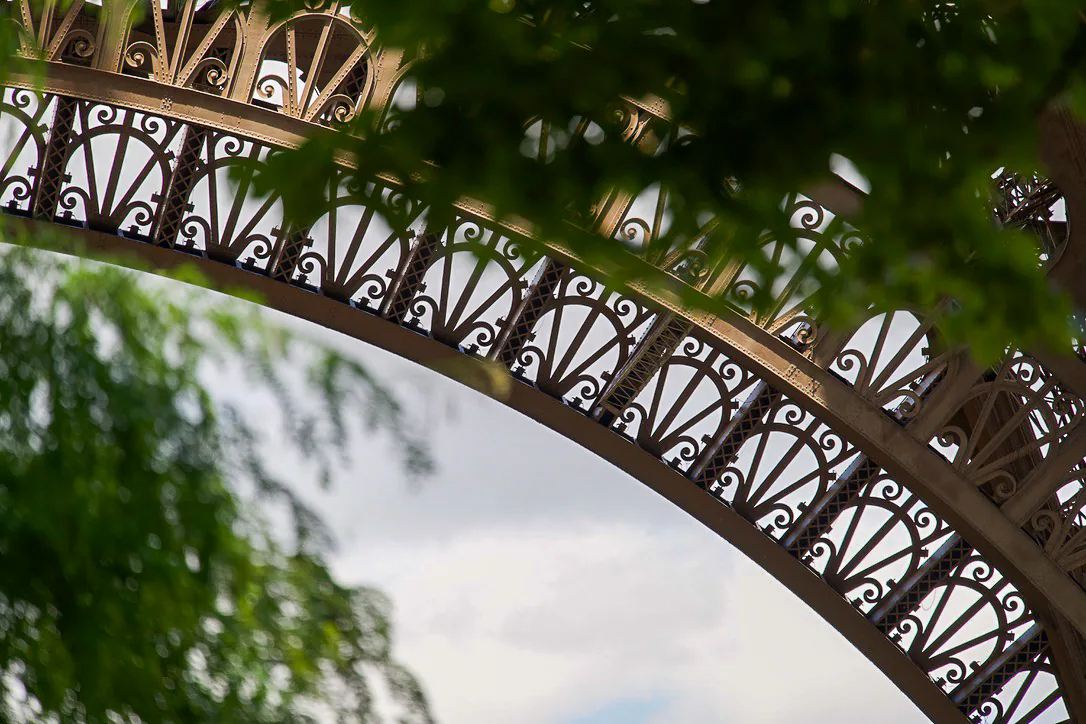 The curved ironwork of the Eiffel Tower framed by green leaves