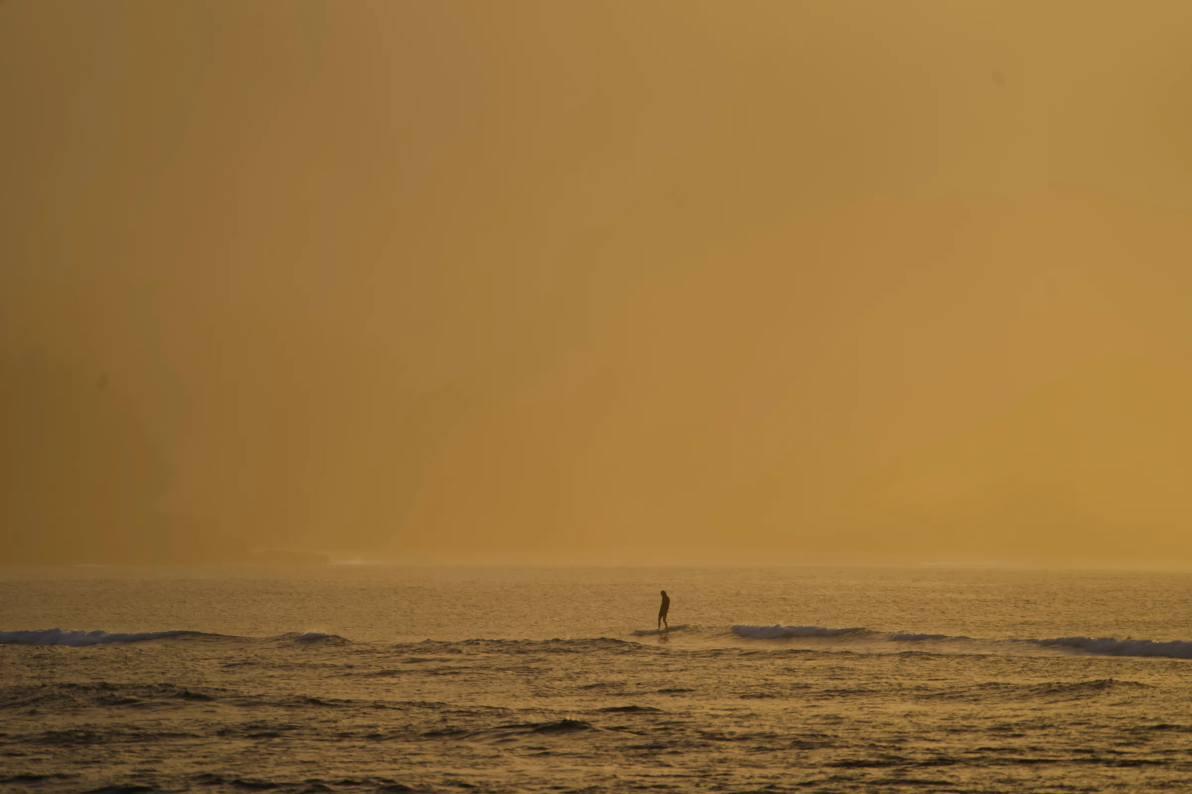 A lone surfer riding a small wave in silhouette against golden light