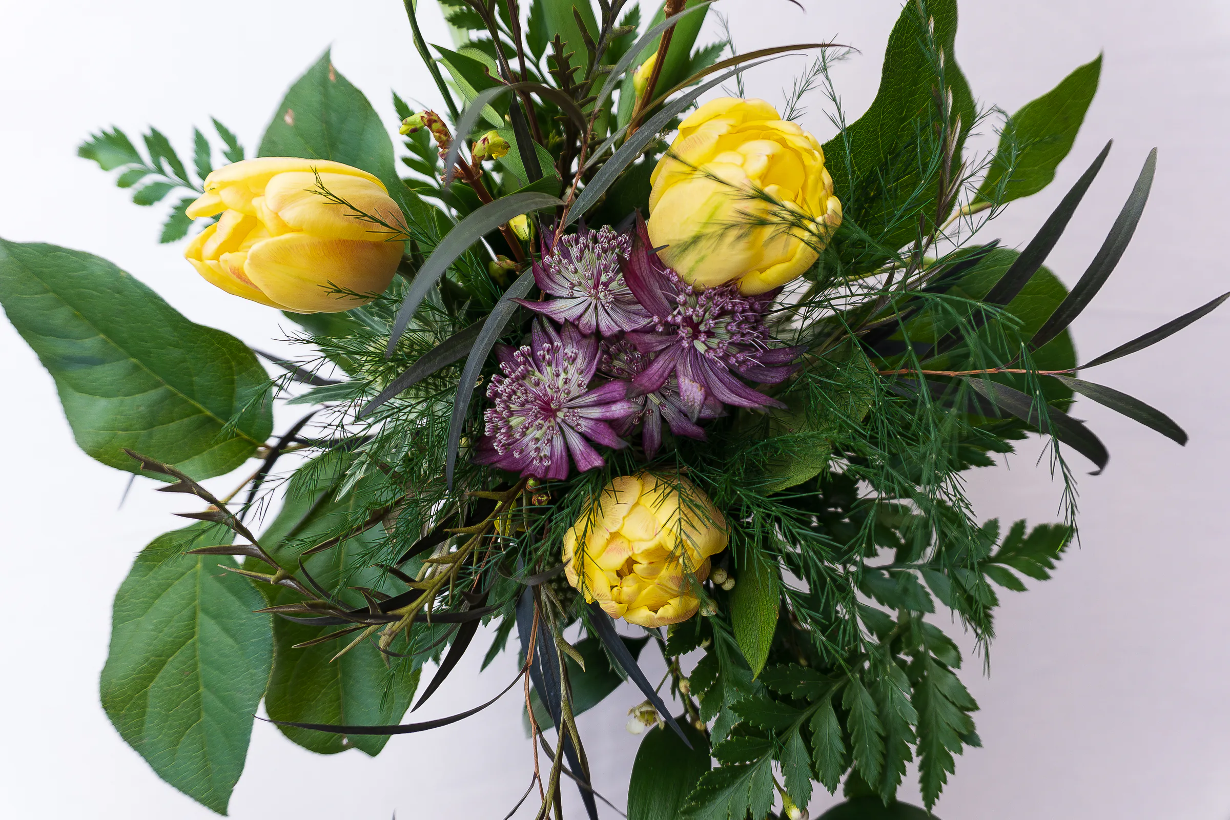 A bouquet of yellow tulips and ranunculus with purple astrantia against a pale pink ground